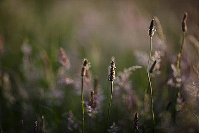 《沉没之城》开发商恐怖解谜新作《Project Palianytsia》公布